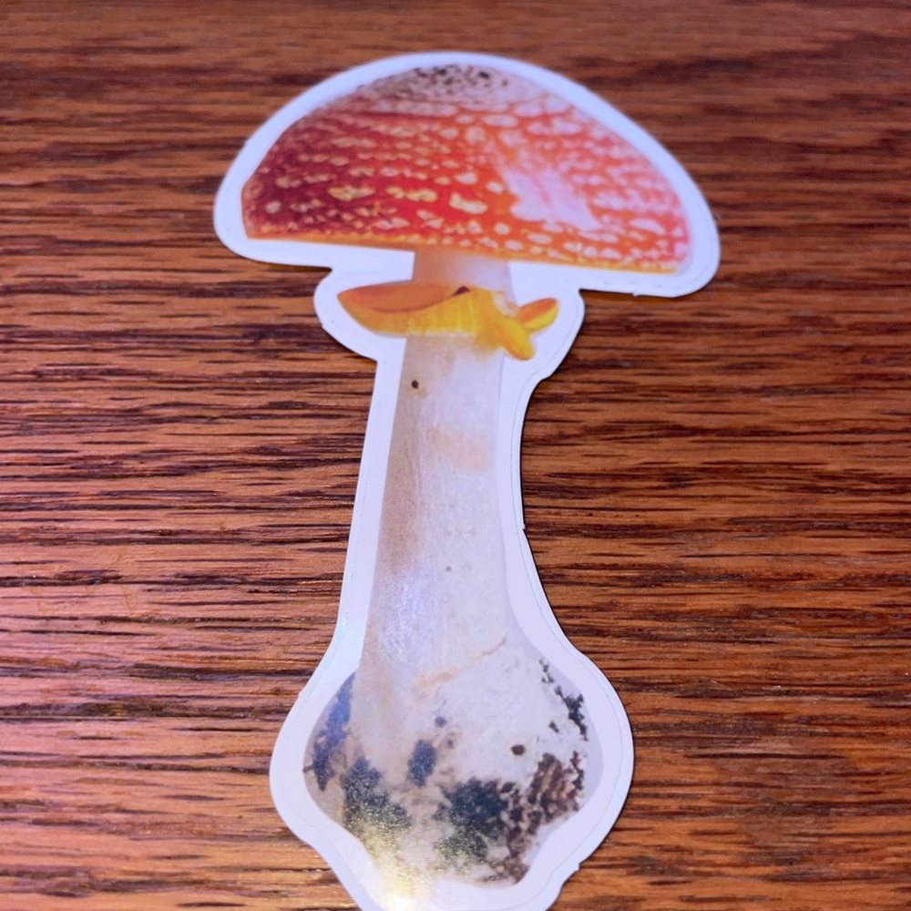 Colorful 13 Mushroom Sticker Set - Picture 11 of 14